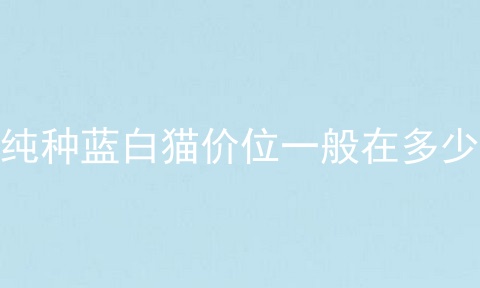 纯种蓝白猫价位一般在多少