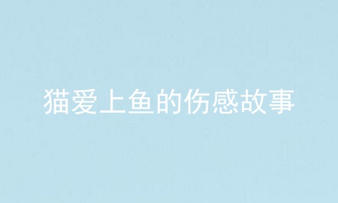 猫爱上鱼的伤感故事