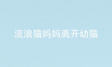 流浪猫妈妈离开幼猫