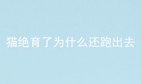 猫绝育了为什么还跑出去