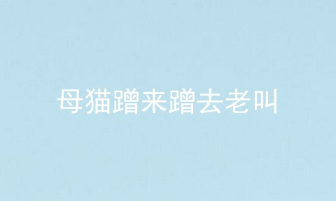 母猫蹭来蹭去老叫