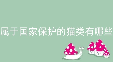 属于国家保护的猫类有哪些