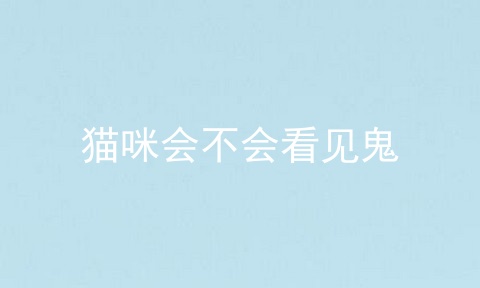 猫咪会不会看见鬼