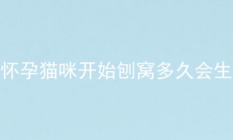 怀孕猫咪开始刨窝多久会生