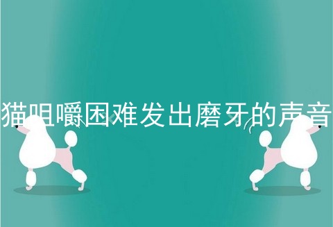 猫咀嚼困难发出磨牙的声音