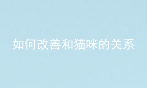如何改善和猫咪的关系