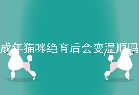 成年猫咪绝育后会变温顺吗