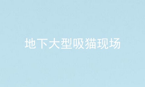 地下大型吸猫现场