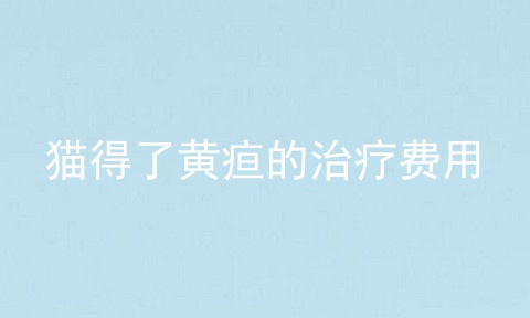猫得了黄疸的治疗费用