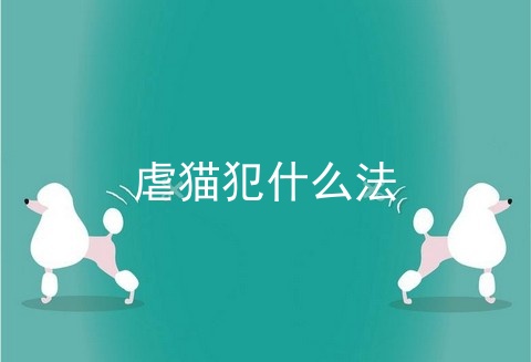虐猫犯什么法
