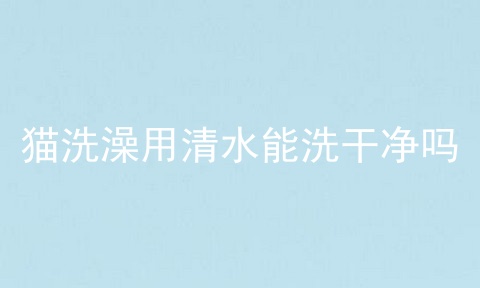 猫洗澡用清水能洗干净吗