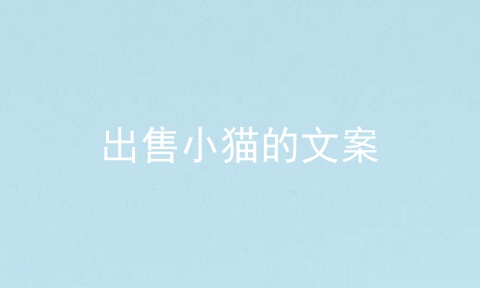 出售小猫的文案