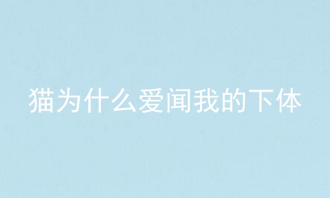 猫为什么爱闻我的下体