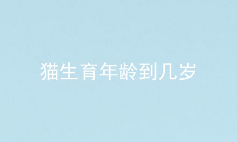 猫生育年龄到几岁