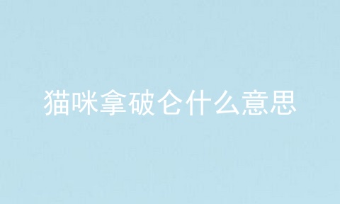 猫咪拿破仑什么意思