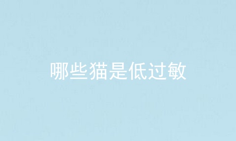 哪些猫是低过敏
