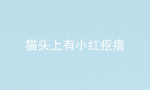 猫头上有小红疙瘩
