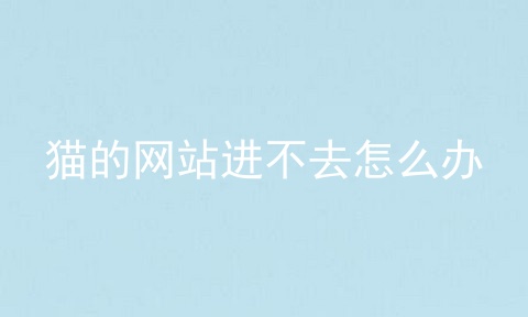 猫的网站进不去怎么办