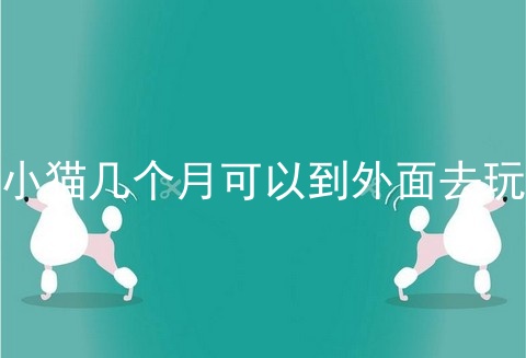 小猫几个月可以到外面去玩