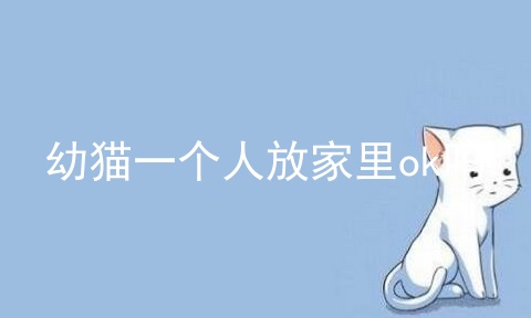 幼猫一个人放家里ok吗