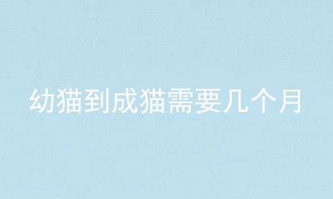 幼猫到成猫需要几个月