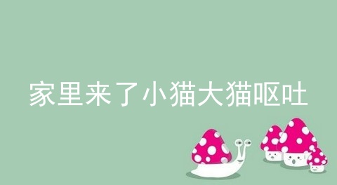 家里来了小猫大猫呕吐