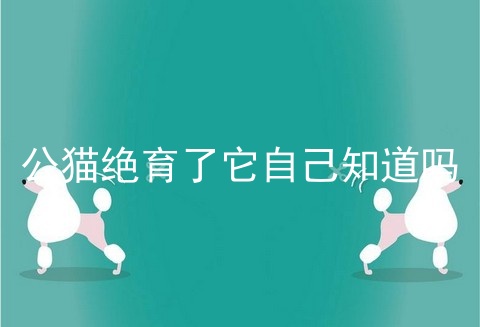公猫绝育了它自己知道吗