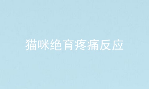 猫咪绝育疼痛反应