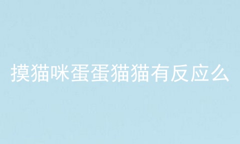 摸猫咪蛋蛋猫猫有反应么
