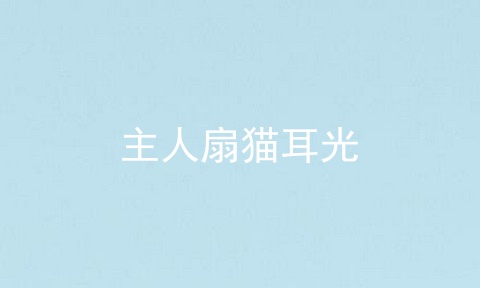 主人扇猫耳光
