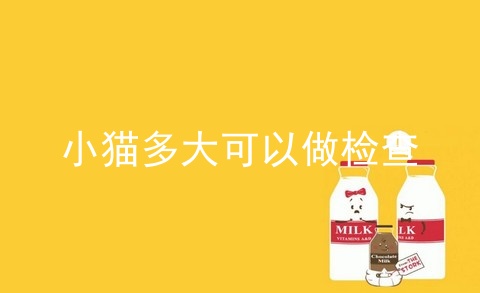 小猫多大可以做检查