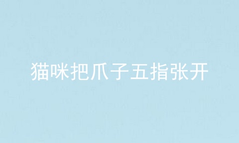 猫咪把爪子五指张开