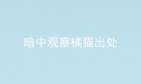 暗中观察橘猫出处