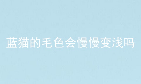 蓝猫的毛色会慢慢变浅吗