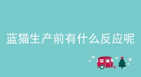 蓝猫生产前有什么反应呢