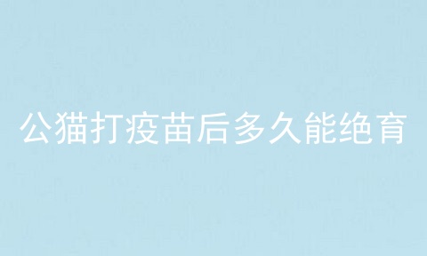 公猫打疫苗后多久能绝育