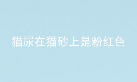 猫尿在猫砂上是粉红色