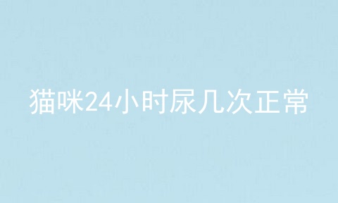 猫咪24小时尿几次正常