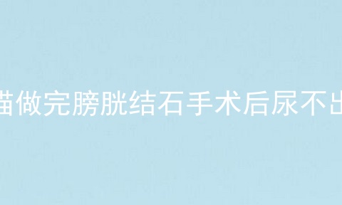 猫做完膀胱结石手术后尿不出