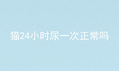 猫24小时尿一次正常吗