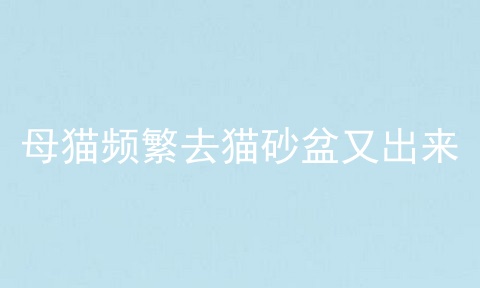 母猫频繁去猫砂盆又出来