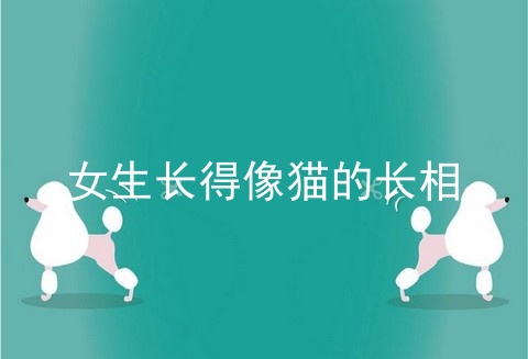 女生长得像猫的长相
