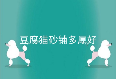 豆腐猫砂铺多厚好