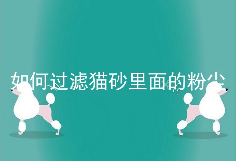 如何过滤猫砂里面的粉尘