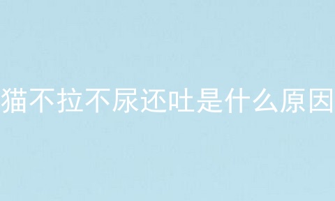 猫不拉不尿还吐是什么原因