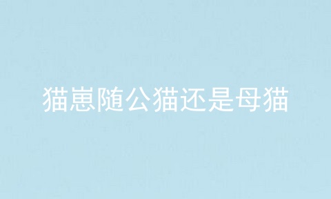 猫崽随公猫还是母猫