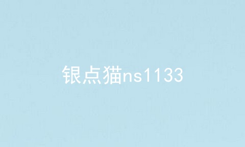 银点猫ns1133