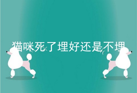 猫咪死了埋好还是不埋