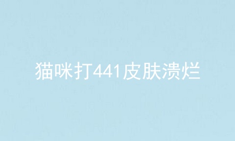 猫咪打441皮肤溃烂