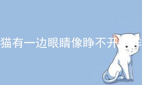 猫有一边眼睛像睁不开一样